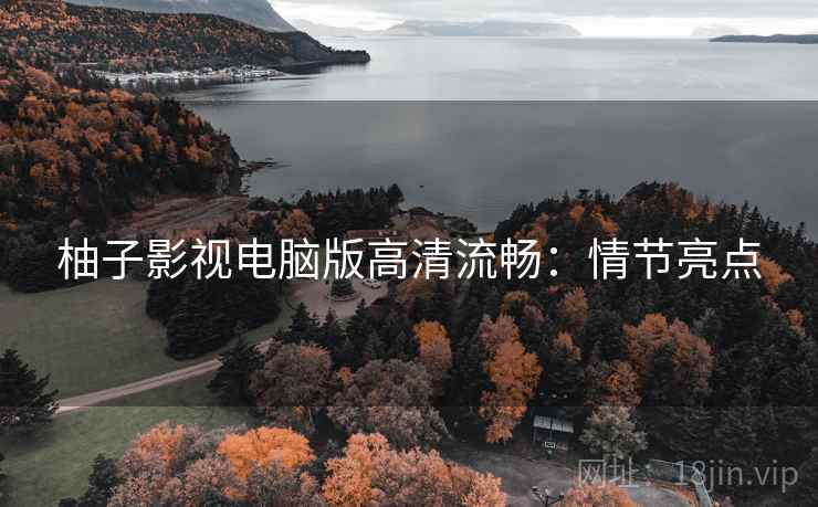 柚子影视电脑版高清流畅：情节亮点