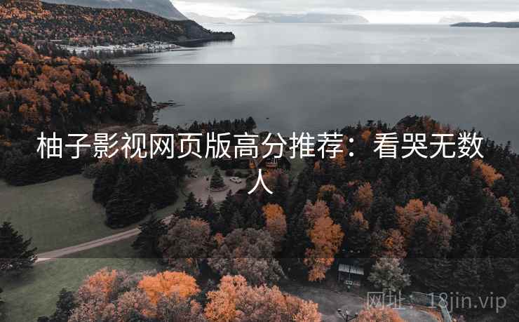 柚子影视网页版高分推荐：看哭无数人