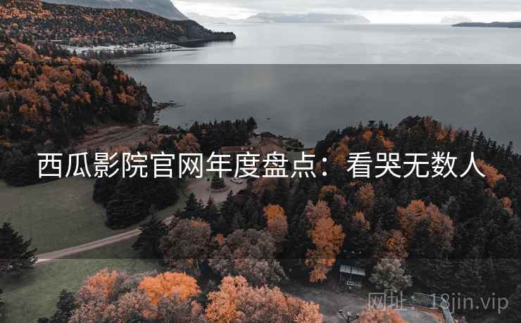 西瓜影院官网年度盘点：看哭无数人